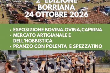 Fiera zootecnica, agricola, dell’artigianato e dei prodotti del territorio.