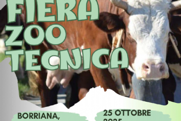 Fiera Zootecnica Borriana 25 ottobre 2025